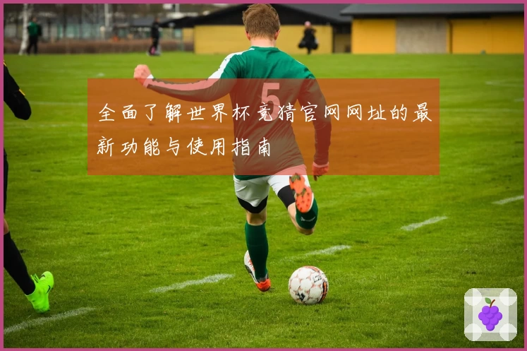 全面了解世界杯竞猜官网网址的最新功能与使用指南