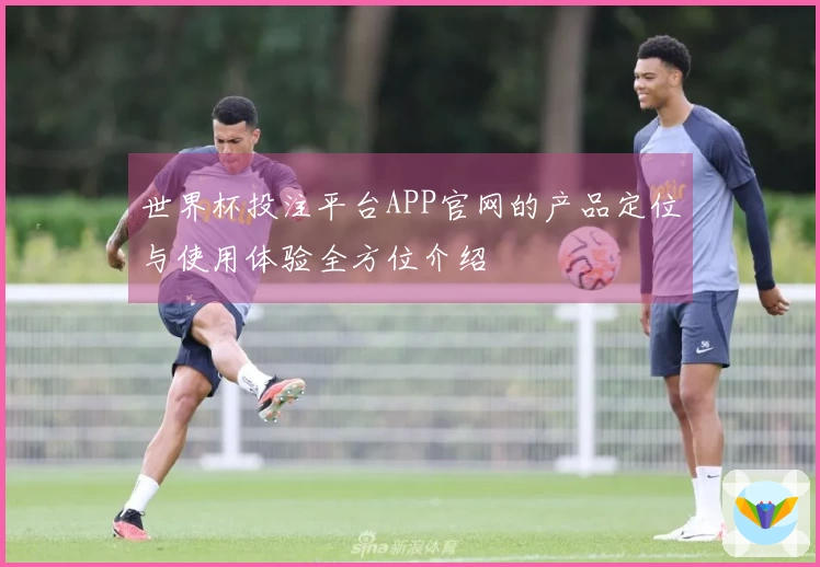 世界杯投注平台APP官网的产品定位与使用体验全方位介绍