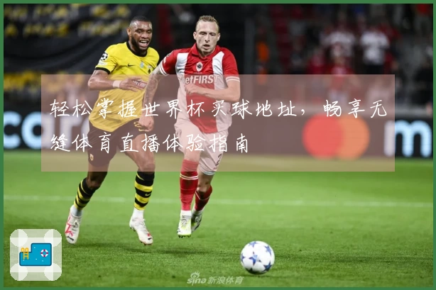 轻松掌握世界杯买球地址，畅享无缝体育直播体验指南