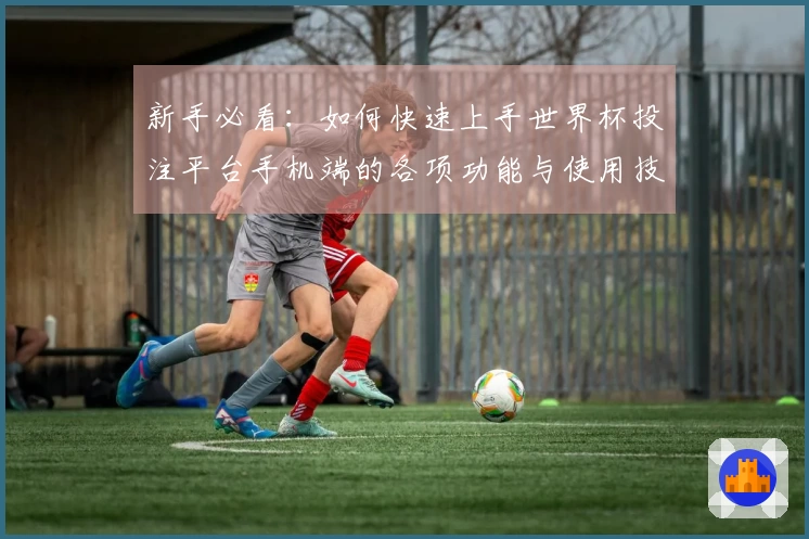 新手必看：如何快速上手世界杯投注平台手机端的各项功能与使用技巧