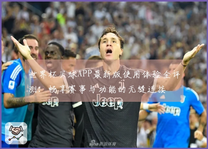 世界杯买球APP最新版使用体验全评测：畅享赛事与功能的无缝连接
