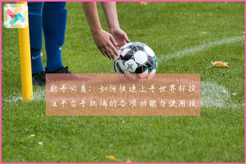 新手必看：如何快速上手世界杯投注平台手机端的各项功能与使用技巧