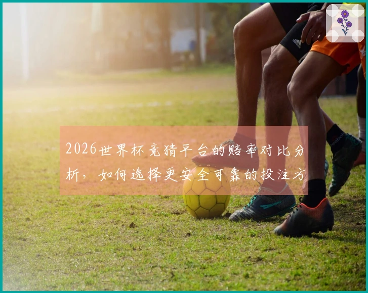 2026世界杯竞猜平台的赔率对比分析，如何选择更安全可靠的投注方式