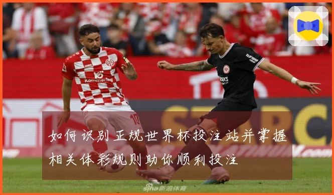 如何识别正规世界杯投注站并掌握相关体彩规则助你顺利投注