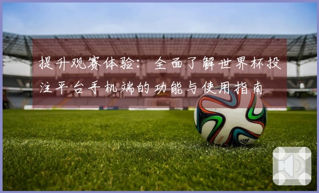 提升观赛体验：全面了解世界杯投注平台手机端的功能与使用指南